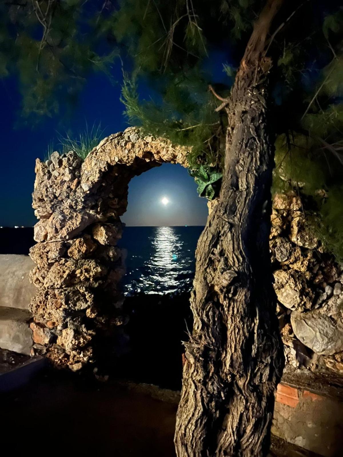 Pis La Rapita Daire Alcanar Dış mekan fotoğraf