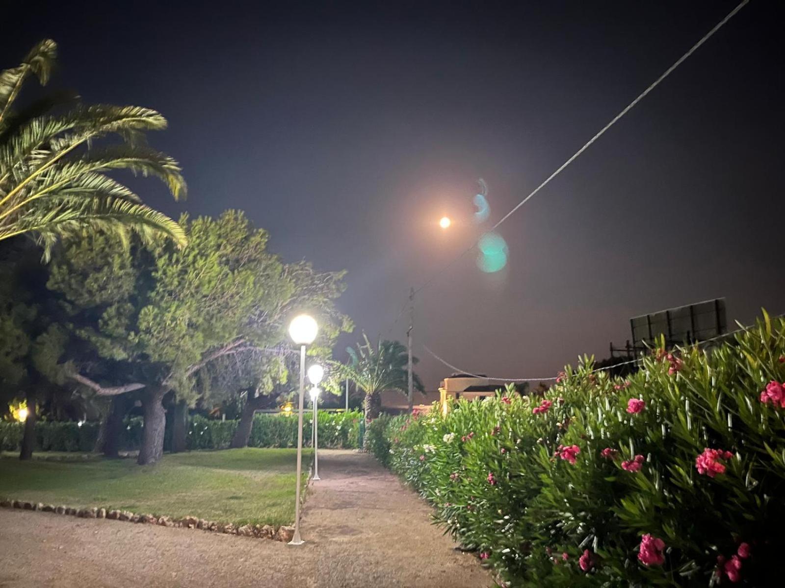 Pis La Rapita Daire Alcanar Dış mekan fotoğraf